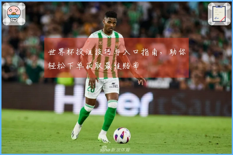 世界杯投注技巧与入口指南，助你轻松下单获取最佳赔率