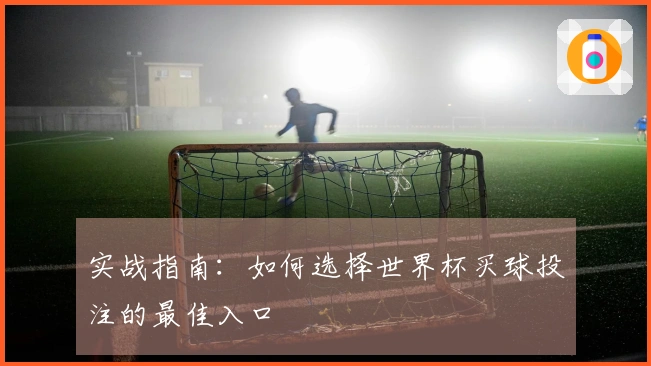 实战指南：如何选择世界杯买球投注的最佳入口