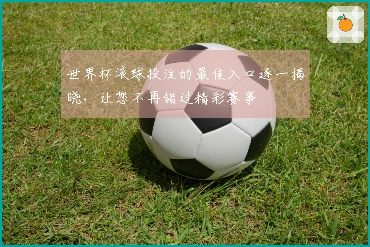 世界杯滚球投注的最佳入口逐一揭晓，让您不再错过精彩赛事