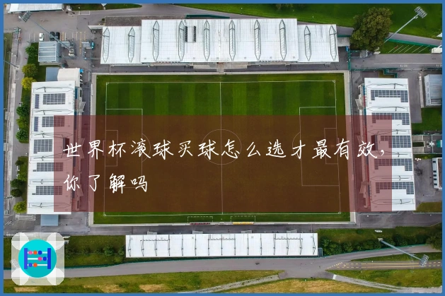 世界杯滚球买球怎么选才最有效，你了解吗