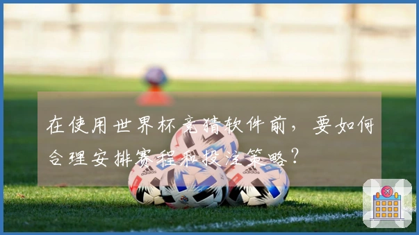 在使用世界杯竞猜软件前，要如何合理安排赛程和投注策略？