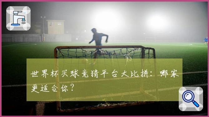 世界杯买球竞猜平台大比拼:哪家更适合你?