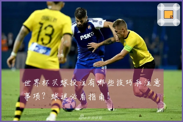 世界杯买球投注有哪些技巧和注意事项？球迷必看指南！