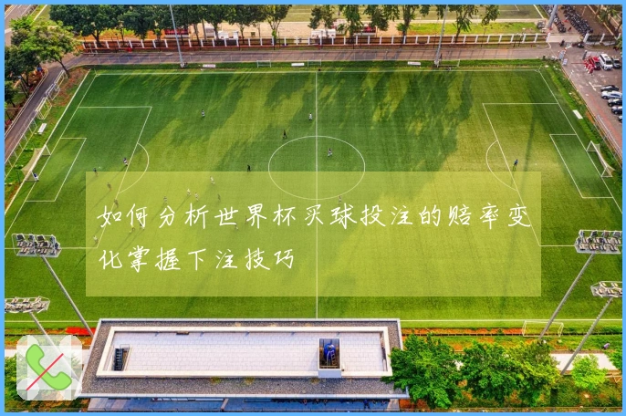 如何分析世界杯买球投注的赔率变化掌握下注技巧