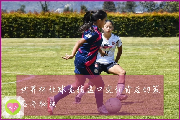 世界杯让球竞猜盘口变化背后的策略与秘诀