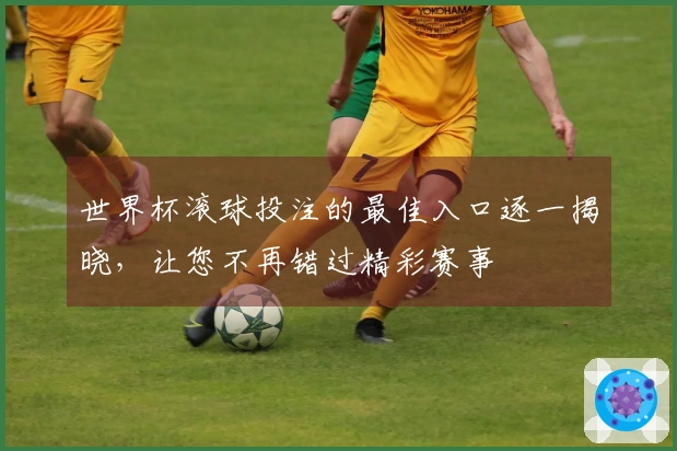 世界杯滚球投注的最佳入口逐一揭晓,让您不再错过精彩赛事
