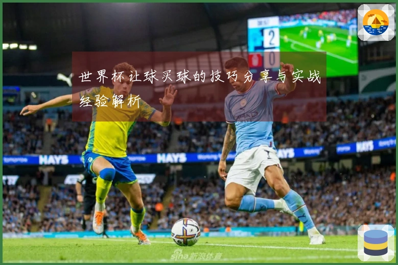 世界杯让球买球的技巧分享与实战经验解析