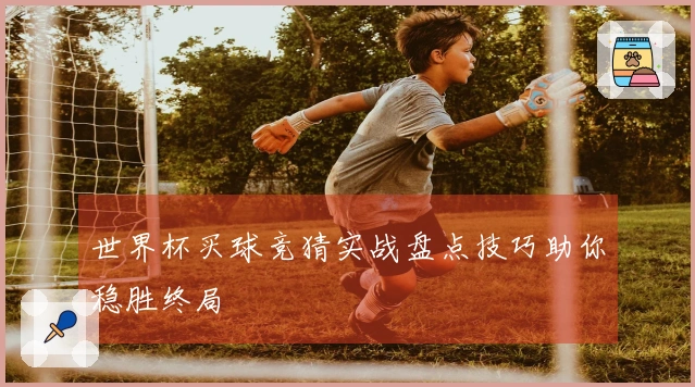 世界杯买球竞猜实战盘点技巧助你稳胜终局