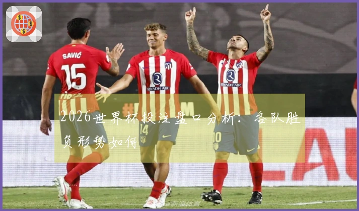 2026世界杯投注盘口分析：各队胜负形势如何