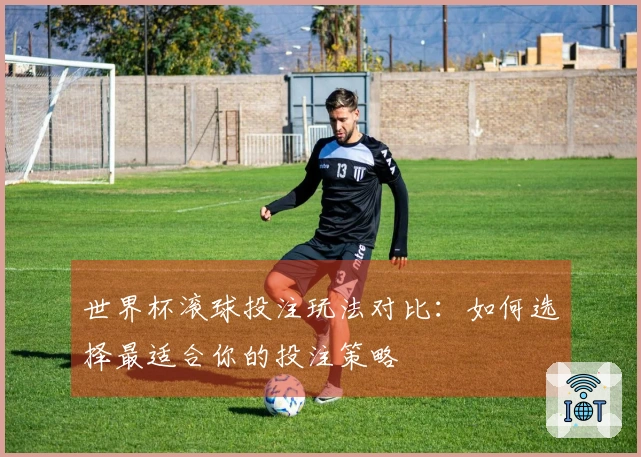 世界杯滚球投注玩法对比：如何选择最适合你的投注策略