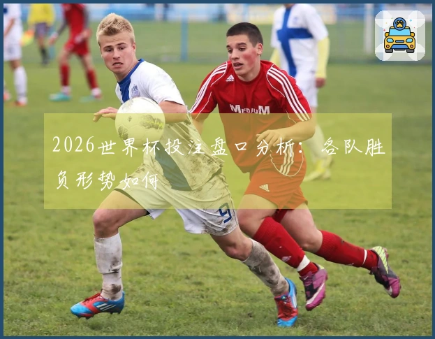 2026世界杯投注盘口分析：各队胜负形势如何