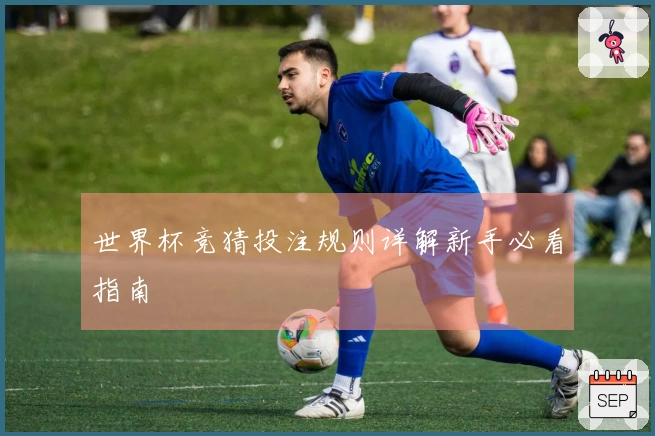 世界杯竞猜投注规则详解新手必看指南