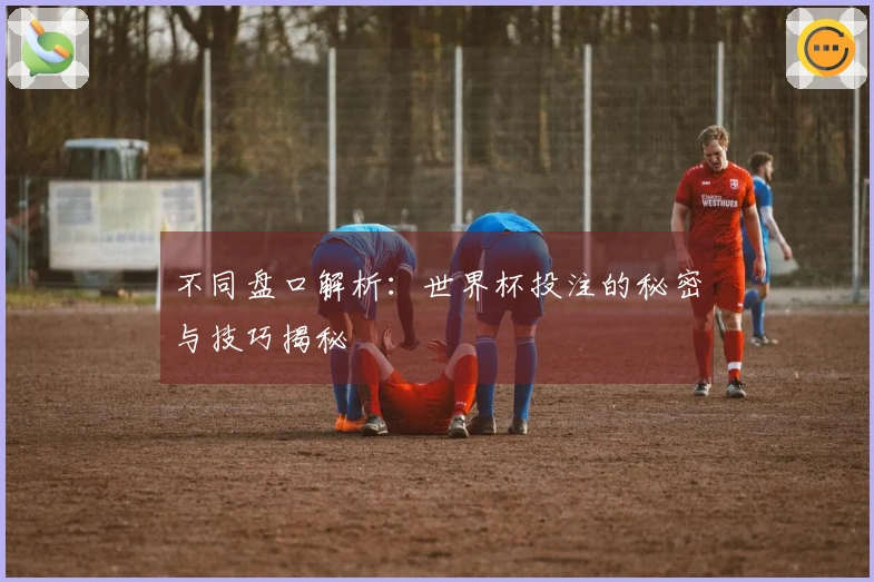 不同盘口解析：世界杯投注的秘密与技巧揭秘