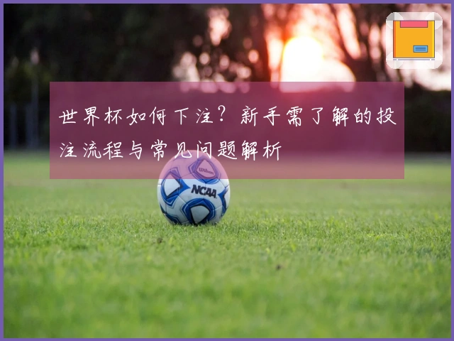 世界杯如何下注?新手需了解的投注流程与常见问题解析