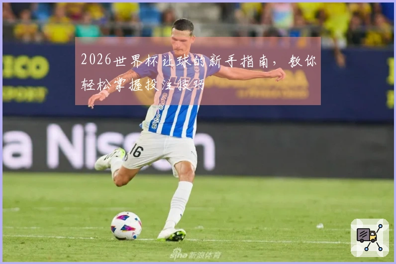 2026世界杯让球的新手指南,教你轻松掌握投注技巧