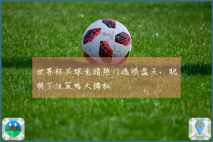 世界杯买球竞猜热门选项盘点,聪明下注策略大揭秘