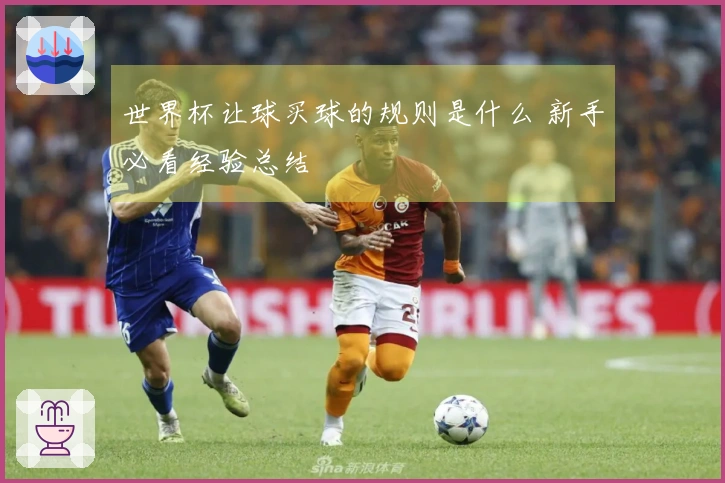 世界杯让球买球的规则是什么 新手必看经验总结