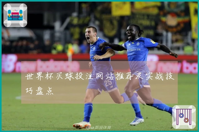 世界杯买球投注网站推荐及实战技巧盘点