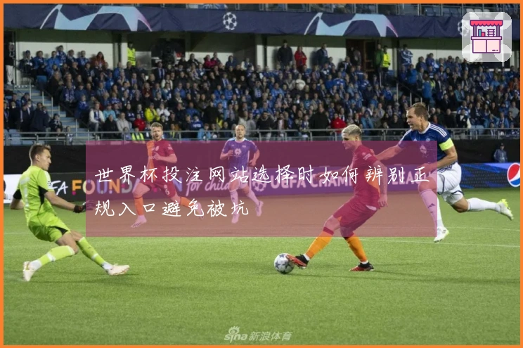 世界杯投注网站选择时如何辨别正规入口避免被坑